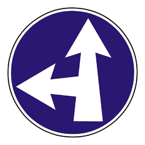 Značka - Prikázaný smer jazdy priamo a vľavo (C4c)